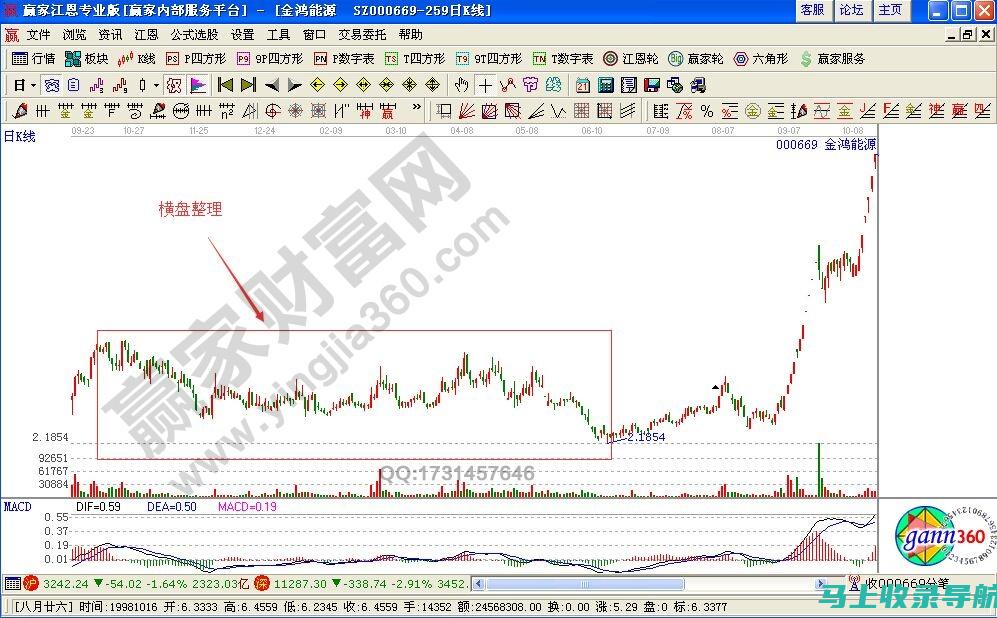 实战案例解析：如何巧妙进行SEO站内优化